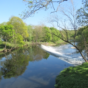 Weir and River Aire